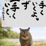 すず ちゅー☆ 即アポ奥さん〜名古屋店〜