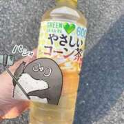 ヒメ日記 2026/07/27 07:41 投稿 すず 即アポ奥さん〜名古屋店〜