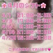 ヒメ日記 2026/03/29 12:55 投稿 日生ひばり THE痴漢電車.com