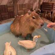 ヒメ日記 2026/02/05 12:02 投稿 さあや スピードエコ難波店