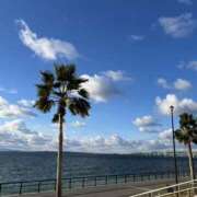 ヒメ日記 2026/02/16 12:22 投稿 さあや スピードエコ難波店