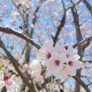 ヒメ日記 2026/03/09 12:12 投稿 さあや スピードエコ難波店