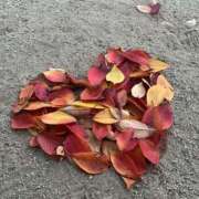 ヒメ日記 2026/03/11 12:22 投稿 さあや スピードエコ難波店