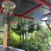 ヒメ日記 2026/03/12 13:52 投稿 さあや スピードエコ難波店