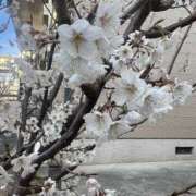 ヒメ日記 2026/03/18 12:03 投稿 さあや スピードエコ難波店