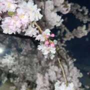 ヒメ日記 2026/03/30 11:42 投稿 さあや スピードエコ難波店