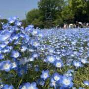 ヒメ日記 2026/04/10 11:32 投稿 さあや スピードエコ難波店