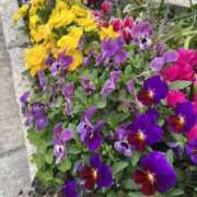 さあや さあや（エコ難波店） スピードエコ難波店