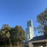 ヒメ日記 2026/04/16 12:32 投稿 さあや スピードエコ難波店