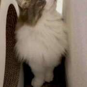 ヒメ日記 2025/11/25 12:17 投稿 ひか 全裸のいいなり美女OR満員ちかん電車