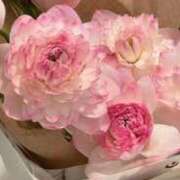 ヒメ日記 2025/11/11 20:24 投稿 なお 西船人妻花壇