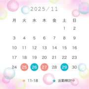 ヒメ日記 2025/11/20 21:24 投稿 なお 西船人妻花壇