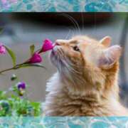 ヒメ日記 2025/11/29 10:46 投稿 なお 西船人妻花壇