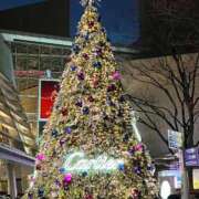 ヒメ日記 2025/12/03 09:57 投稿 なお 西船人妻花壇