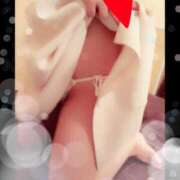 ヒメ日記 2026/02/12 08:17 投稿 なお 西船人妻花壇