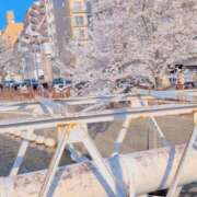 ヒメ日記 2026/03/30 12:05 投稿 あめり ぺろぺろベロベロ専科 ぺろんちょ