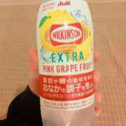ヒメ日記 2026/10/11 12:55 投稿 あめり ぺろぺろベロベロ専科 ぺろんちょ
