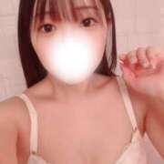 ヒメ日記 2025/10/23 08:53 投稿 あん 水戸女学院PTA