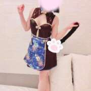 ヒメ日記 2025/11/12 21:03 投稿 あん 水戸女学院PTA