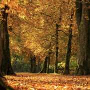 夏姫　未唯 久々に♡ エンジェルコースト