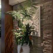 ヒメ日記 2025/10/22 15:08 投稿 矢田 川越勃たせる妻たち