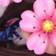 ヒメ日記 2025/11/07 10:05 投稿 さくら 萌えコス