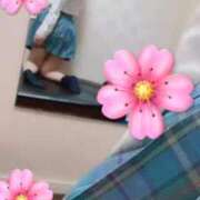 ヒメ日記 2025/11/22 13:54 投稿 さくら 萌えコス