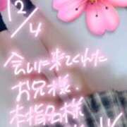 さくら 🌸本日も🌸 萌えコス