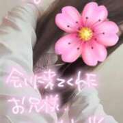 さくら 🌸 萌えコス