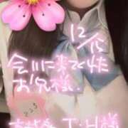 ヒメ日記 2025/12/15 15:20 投稿 さくら 萌えコス