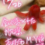 ヒメ日記 2025/12/27 06:15 投稿 さくら 萌えコス