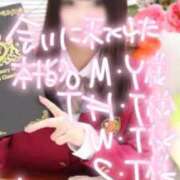 さくら 🌸本日も🌸 萌えコス