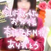 ヒメ日記 2026/02/14 23:30 投稿 さくら 萌えコス