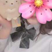 ヒメ日記 2026/02/22 09:14 投稿 さくら 萌えコス