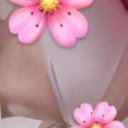 ヒメ日記 2026/02/23 09:20 投稿 さくら 萌えコス