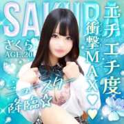 ヒメ日記 2026/04/10 20:19 投稿 さくら 萌えコス