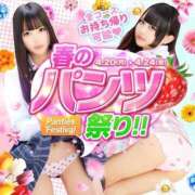 ヒメ日記 2026/04/21 09:55 投稿 さくら 萌えコス