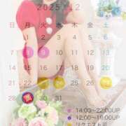 ヒメ日記 2025/12/08 12:42 投稿 倉田菜々子 ハールブルク