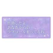 ヒメ日記 2025/10/22 15:30 投稿 あむ TSUBAKI(ツバキ)松山店