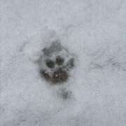 ヒメ日記 2026/02/08 10:56 投稿 りょう 川崎・東横人妻城