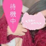 ヒメ日記 2025/10/22 11:29 投稿 りん☆あどけなさ満開！☆ ぽちゃぶらんか甲府店(カサブランカグループ)