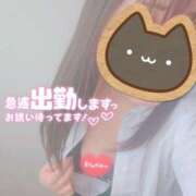 ヒメ日記 2025/10/24 11:13 投稿 りん☆あどけなさ満開！☆ ぽちゃぶらんか甲府店(カサブランカグループ)