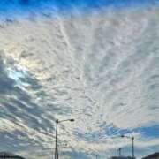 ヒメ日記 2025/11/11 19:32 投稿 りん☆あどけなさ満開！☆ ぽちゃぶらんか甲府店(カサブランカグループ)