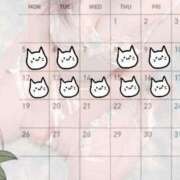 ヒメ日記 2026/01/06 10:33 投稿 りん☆あどけなさ満開！☆ ぽちゃぶらんか甲府店(カサブランカグループ)