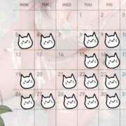 ヒメ日記 2026/01/16 23:12 投稿 りん☆あどけなさ満開！☆ ぽちゃぶらんか甲府店(カサブランカグループ)