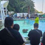 ヒメ日記 2026/03/06 12:16 投稿 りん☆あどけなさ満開！☆ ぽちゃぶらんか甲府店(カサブランカグループ)