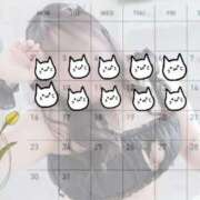 ヒメ日記 2026/03/08 16:30 投稿 りん☆あどけなさ満開！☆ ぽちゃぶらんか甲府店(カサブランカグループ)