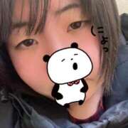 める 急遽出勤！ 新宿本店 ぽちゃカワ女子専門店