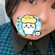 ヒメ日記 2026/02/05 11:37 投稿 める 新宿本店 ぽちゃカワ女子専門店