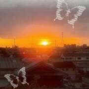 ヒメ日記 2026/01/09 11:08 投稿 白崎 さつき 搾精研究所